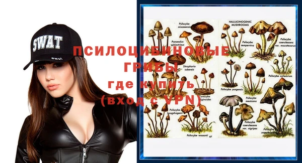 дмт Александровское